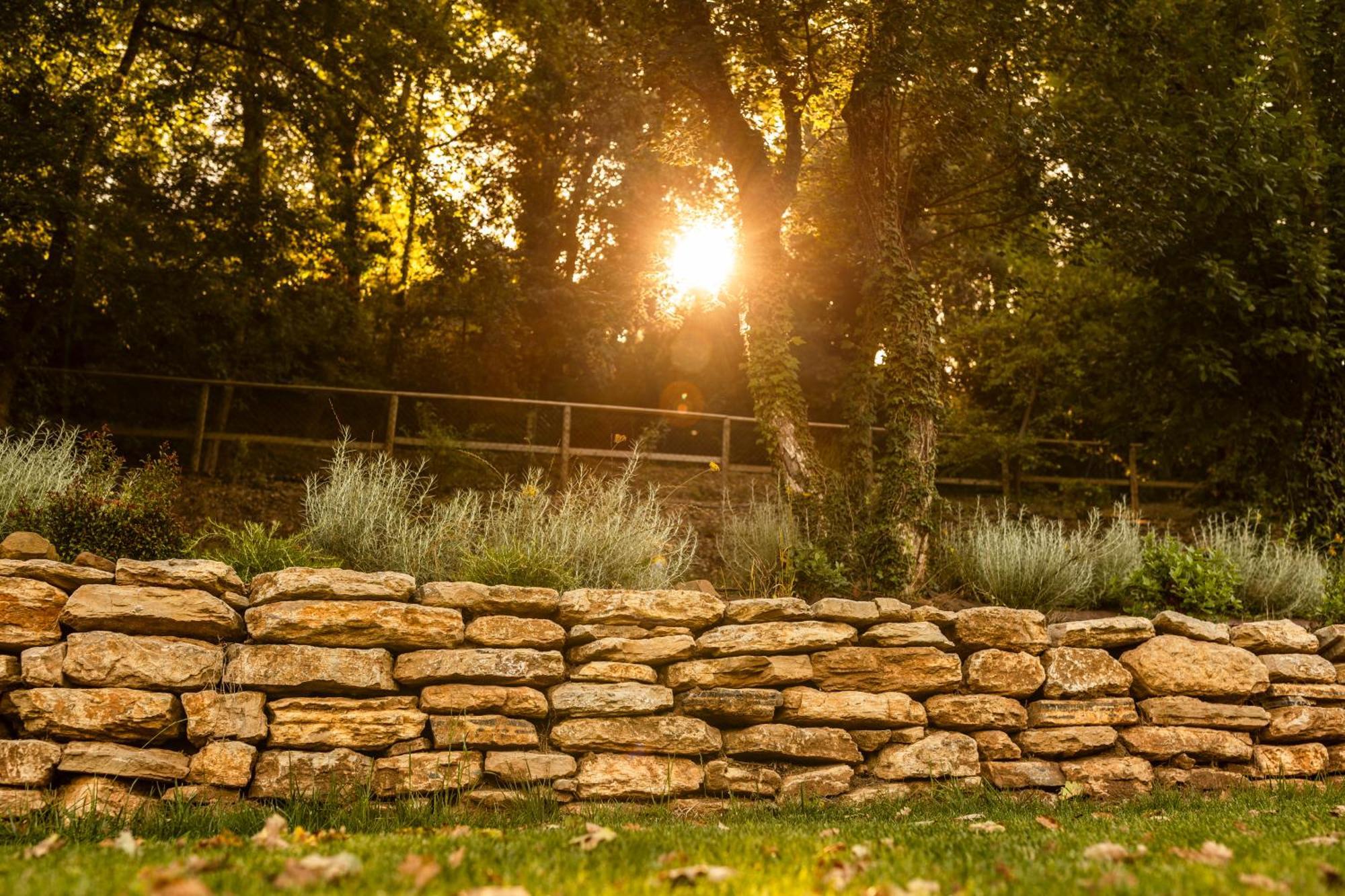 Podere La Casina Country Chic Rigomagno Dış mekan fotoğraf