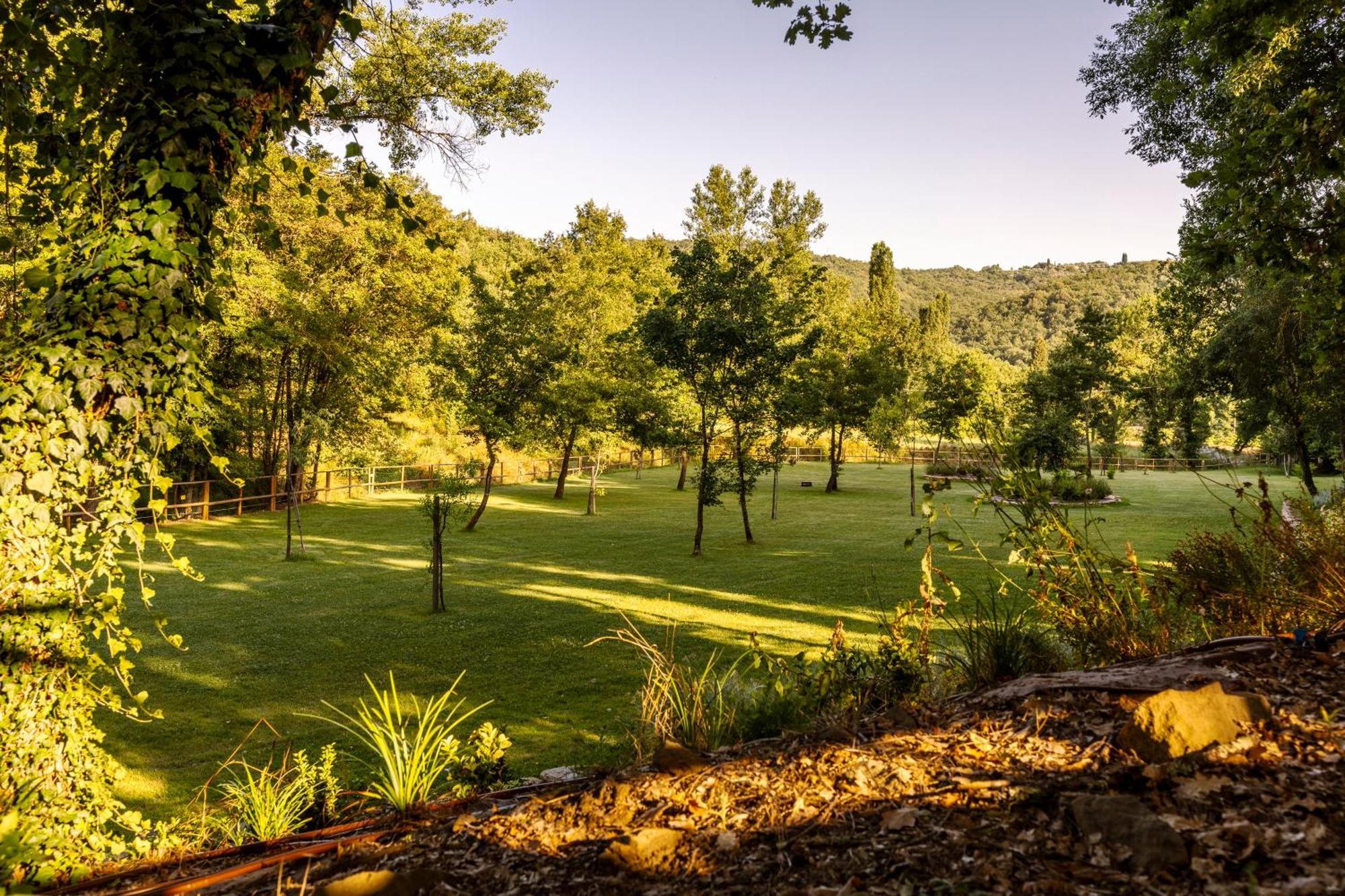 Podere La Casina Country Chic Rigomagno Dış mekan fotoğraf